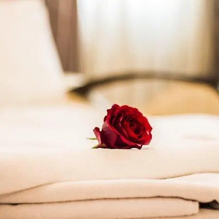 Apartman Feyza *
