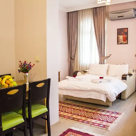 菲扎公寓酒店 *