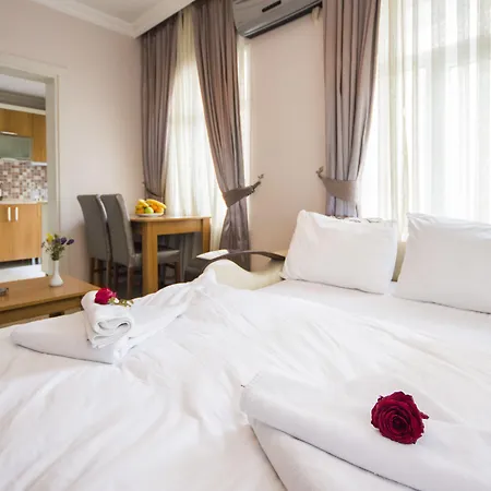 菲扎公寓酒店 * 伊斯坦布尔