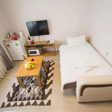 菲扎公寓酒店 公寓 伊斯坦布尔