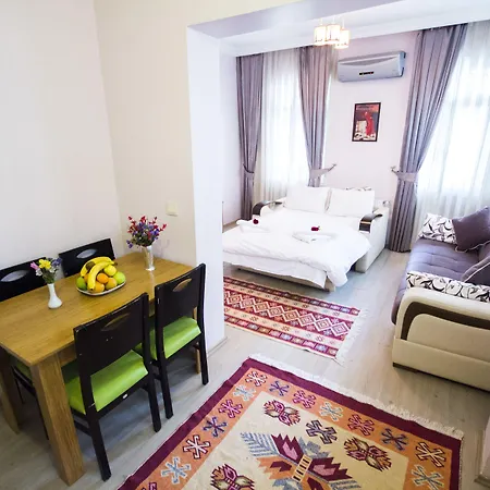 公寓 菲扎公寓酒店 伊斯坦布尔