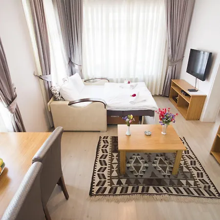 公寓 菲扎公寓酒店 *