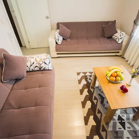 菲扎公寓酒店 公寓 伊斯坦布尔