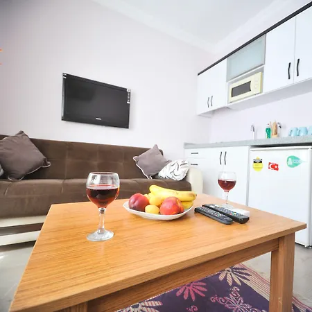 菲扎公寓酒店 公寓 伊斯坦布尔