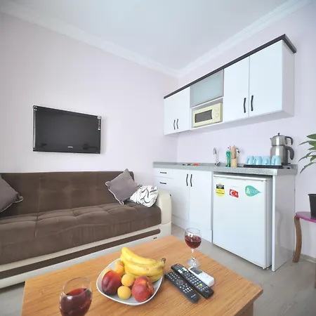 菲扎公寓酒店 公寓 伊斯坦布尔