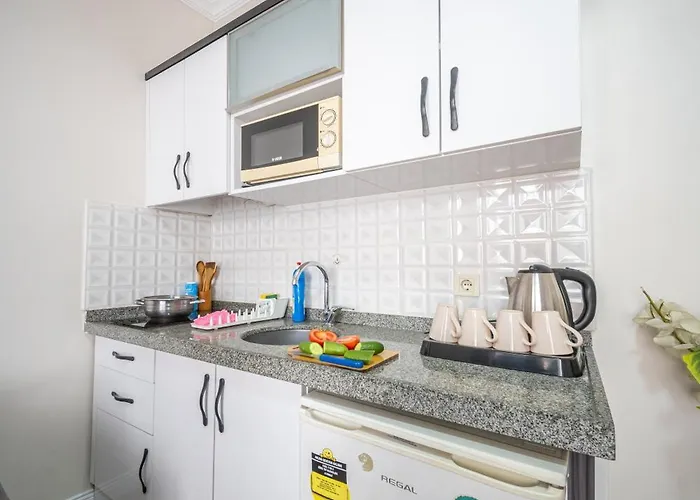 公寓 菲扎公寓酒店